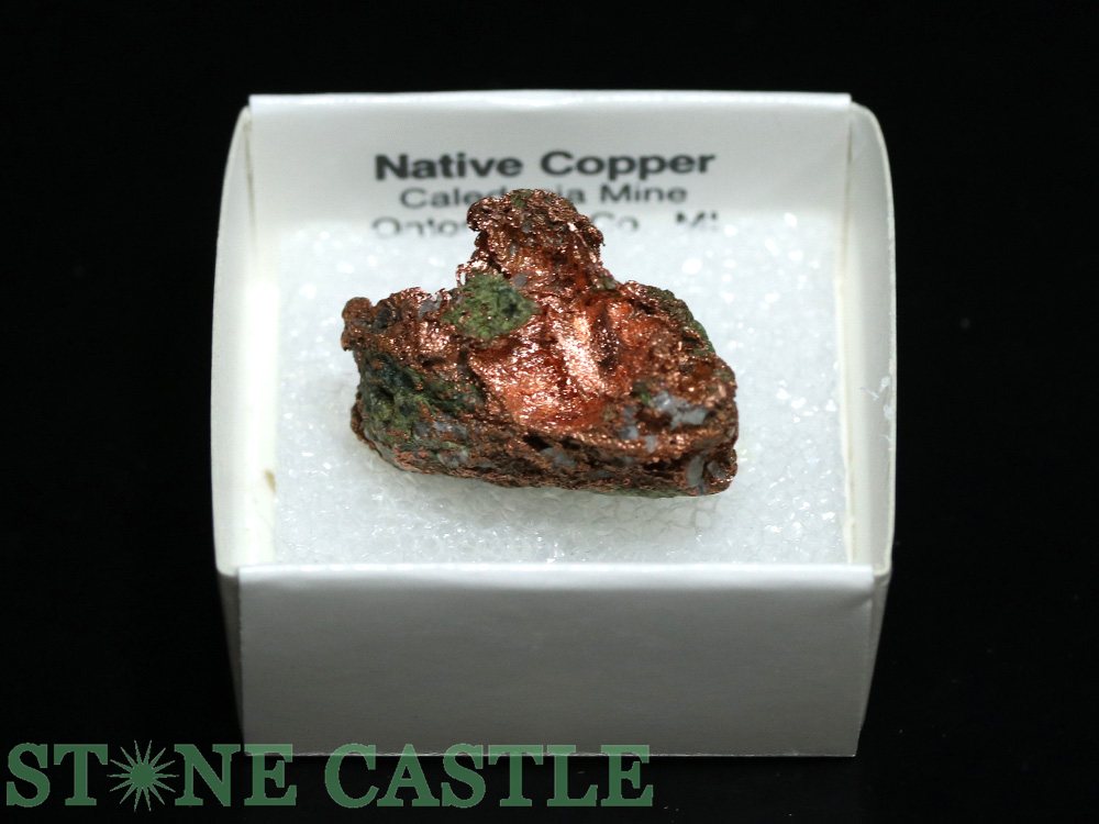 ������ʪ���ڸ��Сۼ���Ƽ (����ꥫ���ߥ����󽣻�) No.48�ڥѥ���ȡ��� ŷ���� ���������꡼ ��ǥ����� ��󥺡�