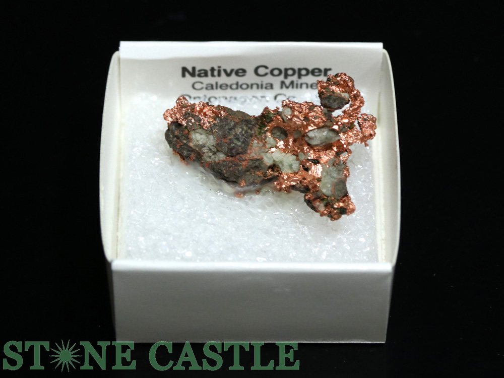 ������ʪ���ڸ��Сۼ���Ƽ (����ꥫ���ߥ����󽣻�) No.49�ڥѥ���ȡ��� ŷ���� ���������꡼ ��ǥ����� ��󥺡�