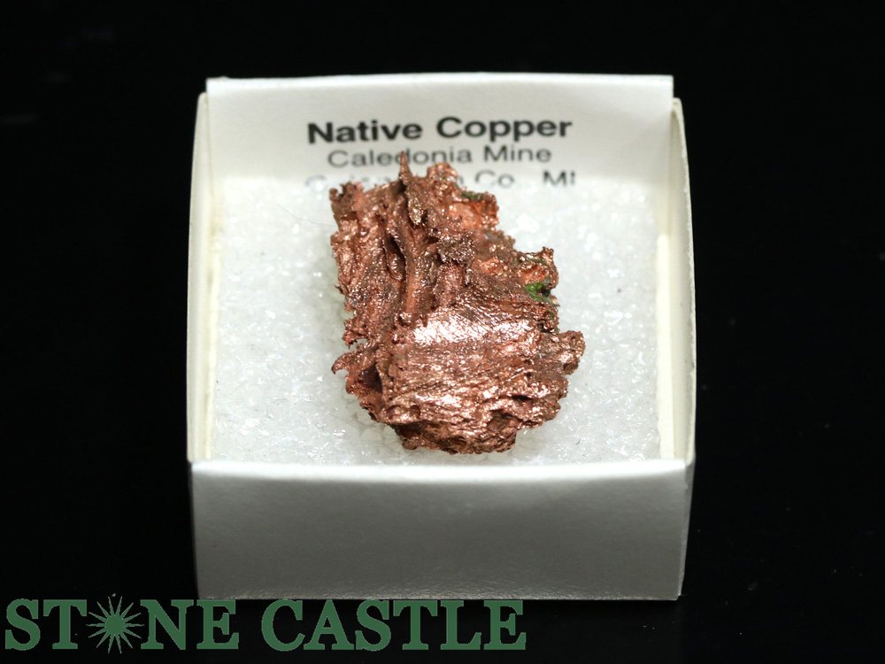 ������ʪ���ڸ��Сۼ���Ƽ (����ꥫ���ߥ����󽣻�) No.50�ڥѥ���ȡ��� ŷ���� ���������꡼ ��ǥ����� ��󥺡�