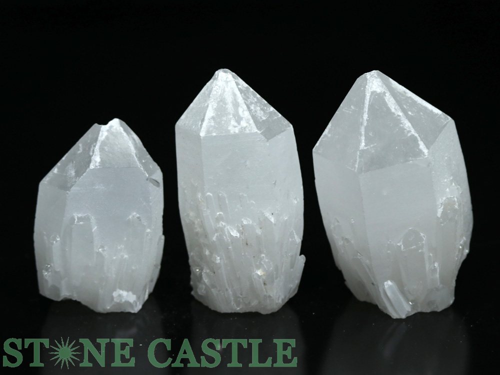 ������ʪ���ڸ��Сۥ����ɥ륯�����ĥ��饹���� (�ҥޥ�仺) (3�ĥ��å�) No.45�ڥѥ���ȡ��� ŷ���� ���������꡼ ��ǥ����� ��󥺡�