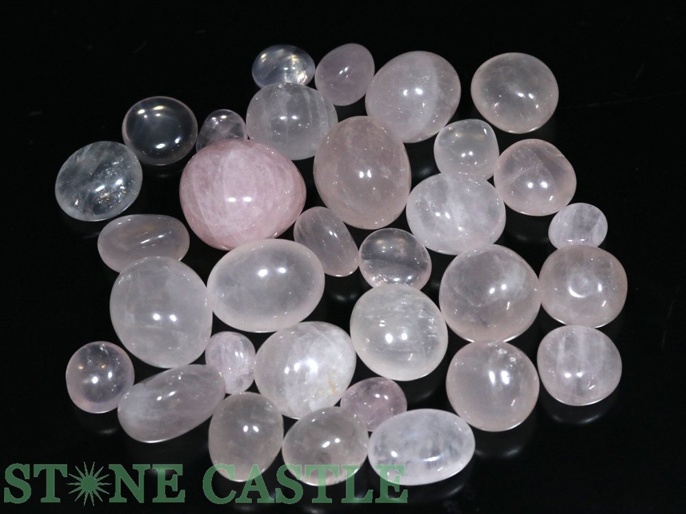 ʪ֤Сۥ֥뷿  200gѥå No.77ڥѥȡ ŷ ꡼ ǥ