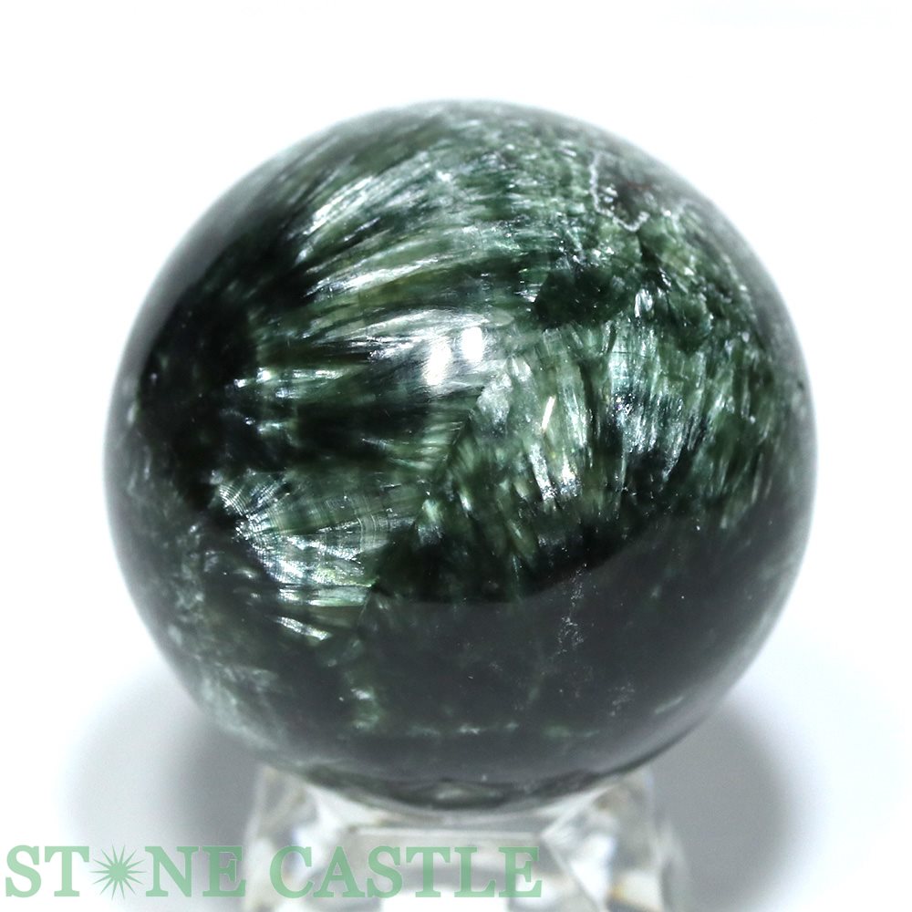 ʪ֤С۴ݶ եʥ (3A) 45mm No.01 ڥѥȡ ŷ ꡼