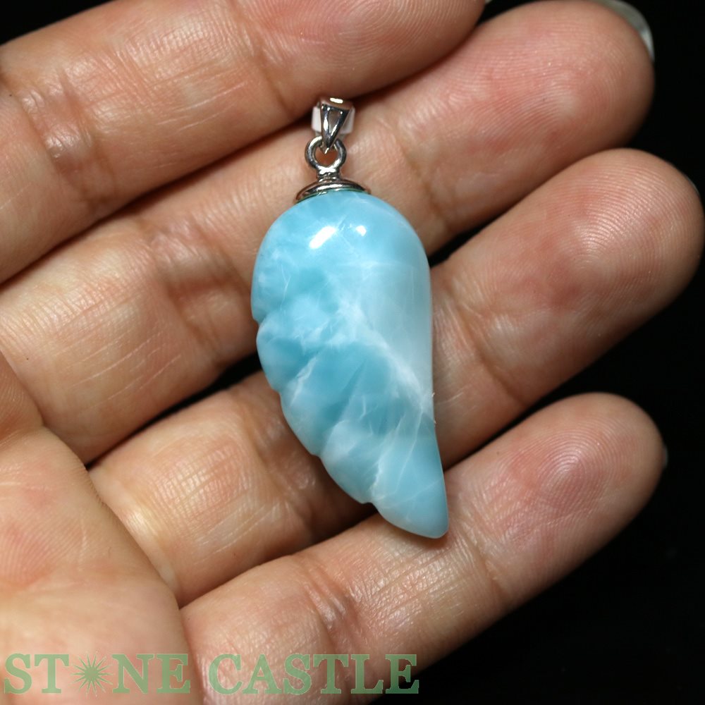 ������ʪ���ڥڥ����ȡۥ��ޡ� (5A) ŷ�Ȥα� No.42�ڥѥ���ȡ��� ŷ���� ���������꡼ ��ǥ����� ��󥺡�