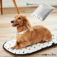 【コムペット公認】高性能保冷素材アイスバッテリー|マット用アイス夏用バッテリーお散歩ペットキャリーカート犬猫多頭小型犬中型犬|