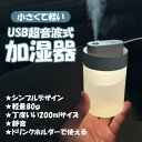 加湿器 卓上 オフィス 静音 ミニ加湿器 超音波 小型 旅行 ホテル キャンプ ベッドサイド ドリンクホルダー マイナスイオン 87g コンパクト オフィス USB LEDランプ 車載 マイクロミスト 子供部屋 乾燥 保湿 潤い 通常定形外