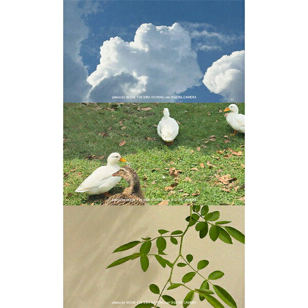 ��BOOIE��������Ź�� Y2K �ߥ˥ǥ����륫��� ������� �ߥ˥���� ��������� SD�������դ� ��ȥ� �ڹ� ���⥤ ����С� Y2K �ۥ磻�� �ԥ� ���襤�� ���ܸ��������դ� �����