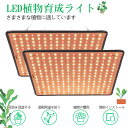 「着後レビューで特典」 植物育成ライト LED 植物ライト 400W相当 暖色系 室内栽培 観葉植物 育成ライト 水耕栽培 多肉植物 育成用 LED パネル 超...