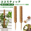 「着後レビューで特典」 ココスティック 2点セット モンステラ支柱 観葉植物 支柱 園芸支柱 植物 ガーデニング用 花ささえ ココナッツ支柱 植物サポート つる...