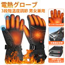 【2024最新作】 電熱グローブ ヒーター手袋 12000mAh バッテリー付き 65℃発熱 電熱手袋 バイク用 3段階温度調節対応 撥水防寒 防風 滑り止め ...