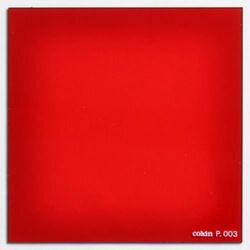 KenkoTokina(ケンコー・トキナー) コッキン 角型全面カラーフィルター P003 レッド(0085831000030) メーカー在庫品