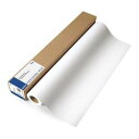 エプソン EPSON PXMCA2R13 プロフェッショナルフォトペーパー(薄手半光沢) 取り寄せ商品