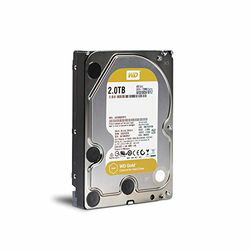 WESTERN　DIGITAL WD2005FBYZ WD Gold 3.5インチ内蔵HDD 2TB SATA6Gb/s 7200rpm 128MB 目安在庫=△