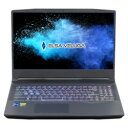 ELSA ELSA VELUGA G5-NM 15G46M(i7 13700H/RTX 4060/32GB/Win11 PRO)(ELVG515-13i74603210S) 取り寄せ商品(2)
