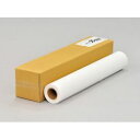 セーレン 彩dex300 高発色耐久クロス 610mm×20M 0000-208-HS21 取り寄せ商品