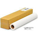 セーレン 彩dex300 高発色耐久クロス 1118mm×20M 0000-208-HS24 取り寄せ商品