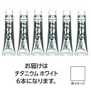 ターナー色彩 U35 チタニウムホワイト11ml 6個(TURNER108862) 取り寄せ商品