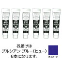 ターナー色彩 アクリルガッシュ 11ml 54プルシャンブルーヒュー 6個(TURNER108823) 取り寄せ商品
