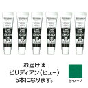ターナー色彩 アクリルガッシュ 11ml 47ビリジャンヒュー 6個(TURNER108819) 取り寄せ商品