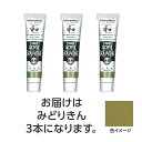 ターナー色彩 アクリルガッシュ ジャパネスクカラーシリーズ 20ml 372みどりきん 3個(TURNER108528) 取り寄せ商品