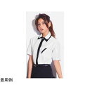 カーシーカシマ AMUS-NET シャツ Shirts Collection 234-11 ホワイト SS ASY234(68-0857-98) 取り寄せ商品