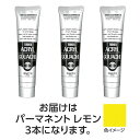 ターナー色彩 アクリルガッシュ 100ml 10パーマネントレモン 3個(TURNER108585) 取り寄せ商品