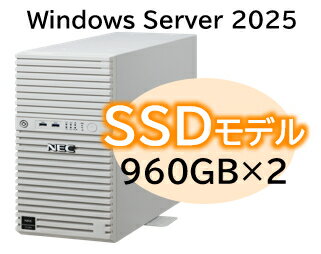 NEC 日本電気 Express5800/D/T110m Xeon 6315P 4C/16GB/SSD 960GB*2 RAID1/W2025/タワー(NP8100-3026YPCY) 目安在庫=△