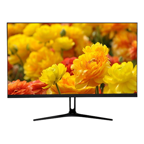 WIS WIS 23.8インチゲーミングモニター 165Hz高リフレッシュレート MRPT1ms高速応答速度ゲーミングモニター ノングレア(非光沢)(AS-G238) 取り寄せ商品