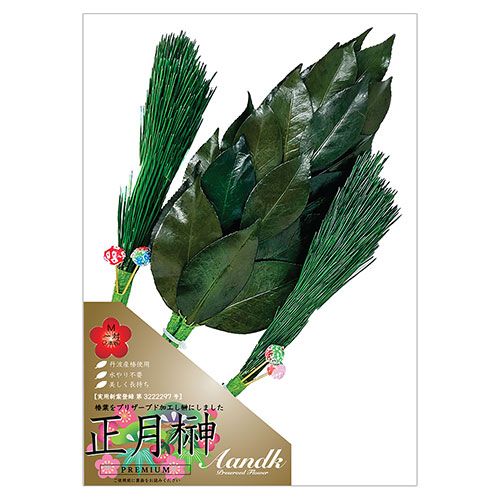 A&K 松付き正月榊 Mサイズ 一対(2本組) 神棚に飾る榊に松をつけることでお祝いの雰囲気に(SKK-015M) 取り寄せ商品