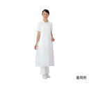 ディスポ前掛 20枚入 (1箱(20枚入り))(4573380440019) 取り寄せ商品