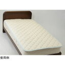 レグラス ダニサルWパワーベッドパッド シングルサイズ DA002(67-7118-87) 取り寄せ商品