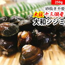 赤羽屋磯辺商店 青森の味！【産直 冷凍】砂抜き不要 十...