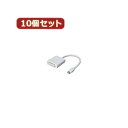 変換名人 10個セット mini Display Port→DVI(MDP-DVIX10) 取り寄せ商品(2)
