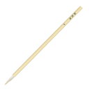 ARTEC 【10個セット】 ARTEC AT彩色筆 中(ATC10788X10) 取り寄せ商品