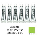 ターナー色彩 【6本×5セット】 U35ライトグリーン11ml(TURNER108857X5) 取り寄せ商品