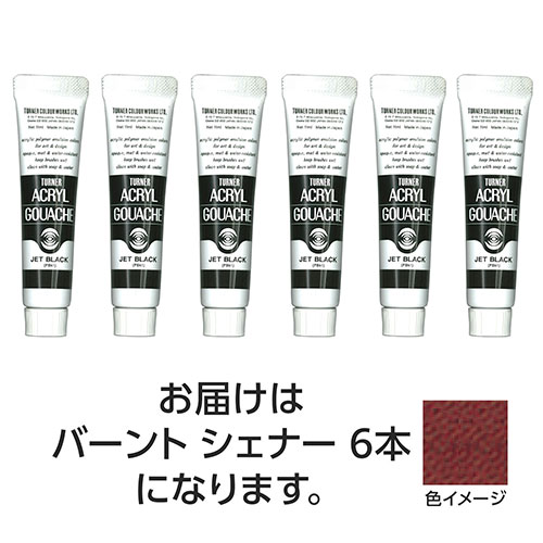 ターナー色彩 【6本×5セット】 アクリルガッシュ 11ml 34バーントシェナー(TURNER108813X5) 取り寄せ商品
