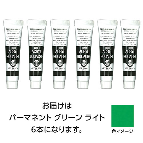 ターナー色彩 【6本×5セット】 アクリルガッシュ 11ml 42パーマネントGRライト(TURNER108815X5) 取り寄せ商品