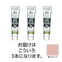ターナー色彩 【3本×5セット】 アクリルガッシュ ジャパネスクカラーシリーズ 20ml 332こういろ(TURNER108503X5) 取り寄せ商品