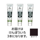 ターナー色彩 【3本×5セット】 アクリルガッシュ ジャパネスクカラーシリーズ 20ml 338けんぽういろ(TURNER108509X5) 取り寄せ商品