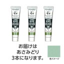 ターナー色彩 【3本×5セット】 アクリルガッシュ ジャパネスクカラーシリーズ 20ml 340あさみどり(TURNER108510X5) 取り寄せ商品