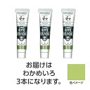 ターナー色彩 【3本×5セット】 アクリルガッシュ ジャパネスクカラーシリーズ 20ml 341わかめいろ(TURNER108511X5) 取り寄せ商品