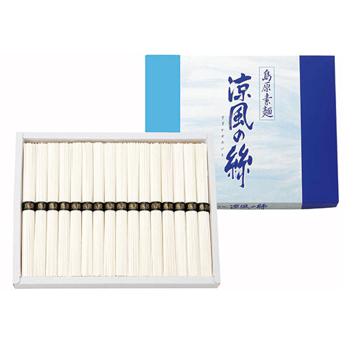 涼風の絲 【16セット】 島原そうめん 16束 【そうめん/50g×16束】(FUJI-221964684X16) 取り寄せ商品