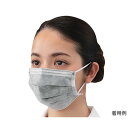 ナビス(アズワン) 活性炭フェイスマスク(個包装) 50枚入 (1箱(50枚入り))(E-315) 目安在庫=○