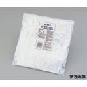 ナノテクリーン E0100−XL (1袋(10双入り))(1-7318-04) 目安在庫=△