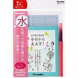 呉竹 Kuretake 美文字練習セット (1個)(DAW100-7) 目安在庫=○