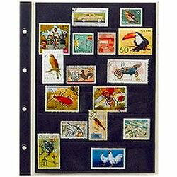 テージー コレクションアルバムスペア台紙(SB-306S) 目安在庫=○