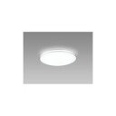 NEC 日本電気 ライティング LED小型シーリングライト 昼光色(HLD23002) 取り寄せ商品