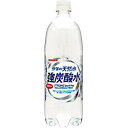 サンガリア 伊賀の天然水 強炭酸水 1000ml 12本 4902179019240 x12 取り寄せ商品