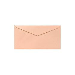 文具 ＞ 便箋・封筒 ＞ 封筒。※こちらは【取り寄せ商品】です。必ず商品名等に「取り寄せ商品」と表記の商品についてをご確認ください。紙の風合いをいかした組み合わせ自在な封筒カード本体重量：270g。サイズ：パッケージ 約 縦38×横98×奥190mm。