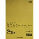 オストリッチ リッチライトカラーアツクチ クリーム(HC-B45) 取り寄せ商品