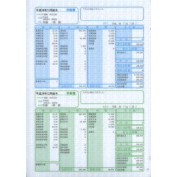 ソリマチ SR230 給与・賞与明細書(明細タテ型)500枚入(対応OS:その他) メーカー在庫品
ITEMPRICE